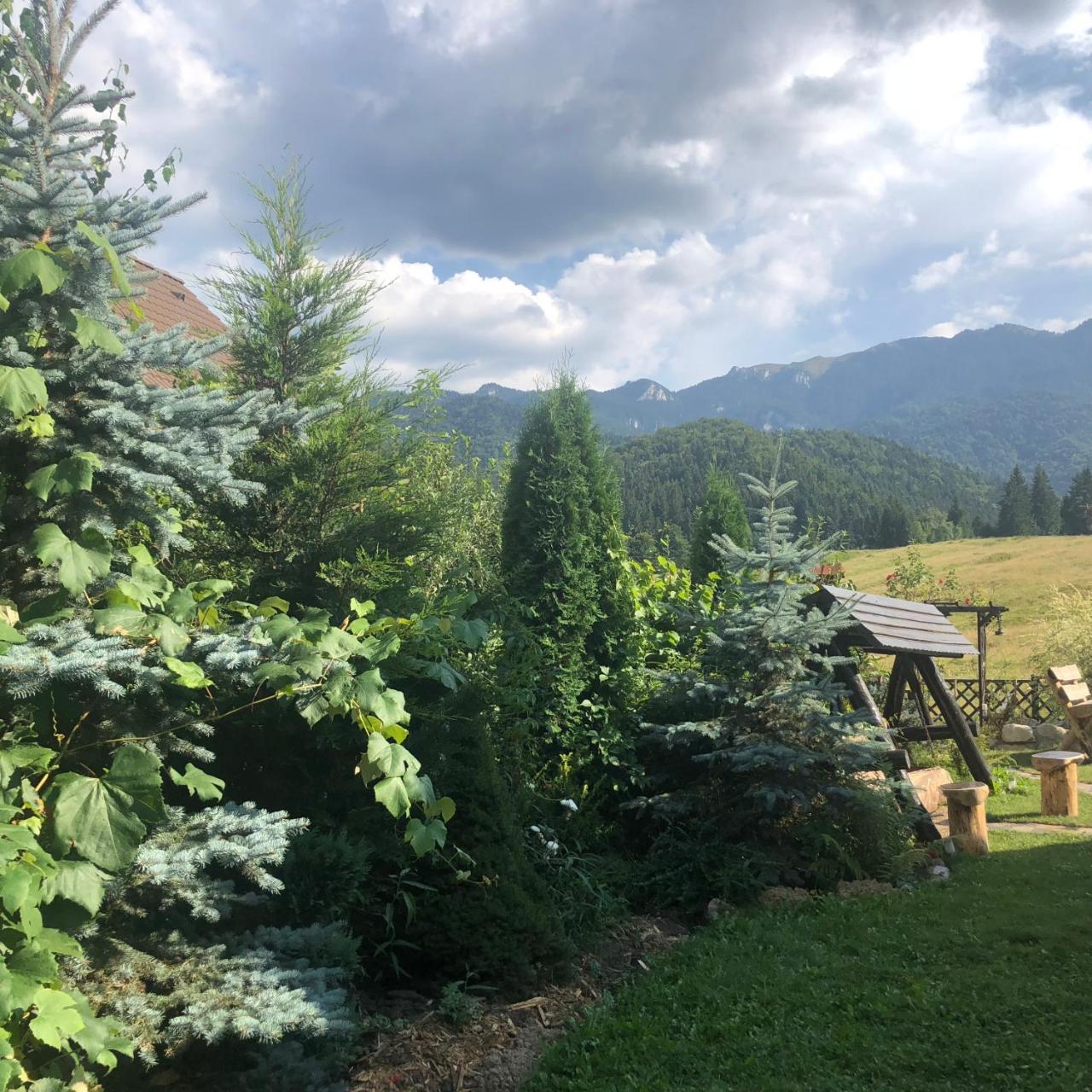 ブラショフ Hot Tub Chalet Retreatヴィラ エクステリア 写真
