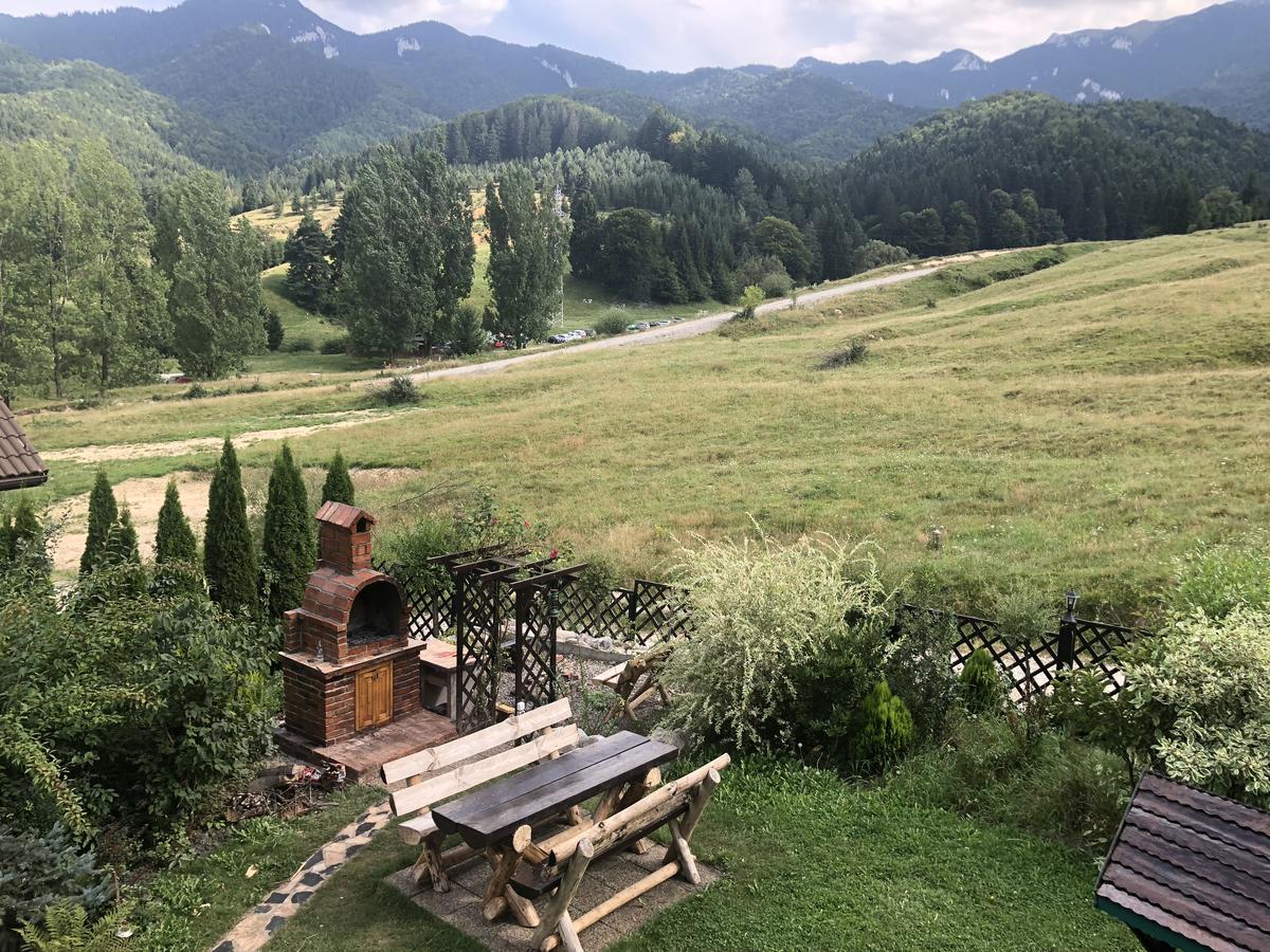 ブラショフ Hot Tub Chalet Retreatヴィラ エクステリア 写真