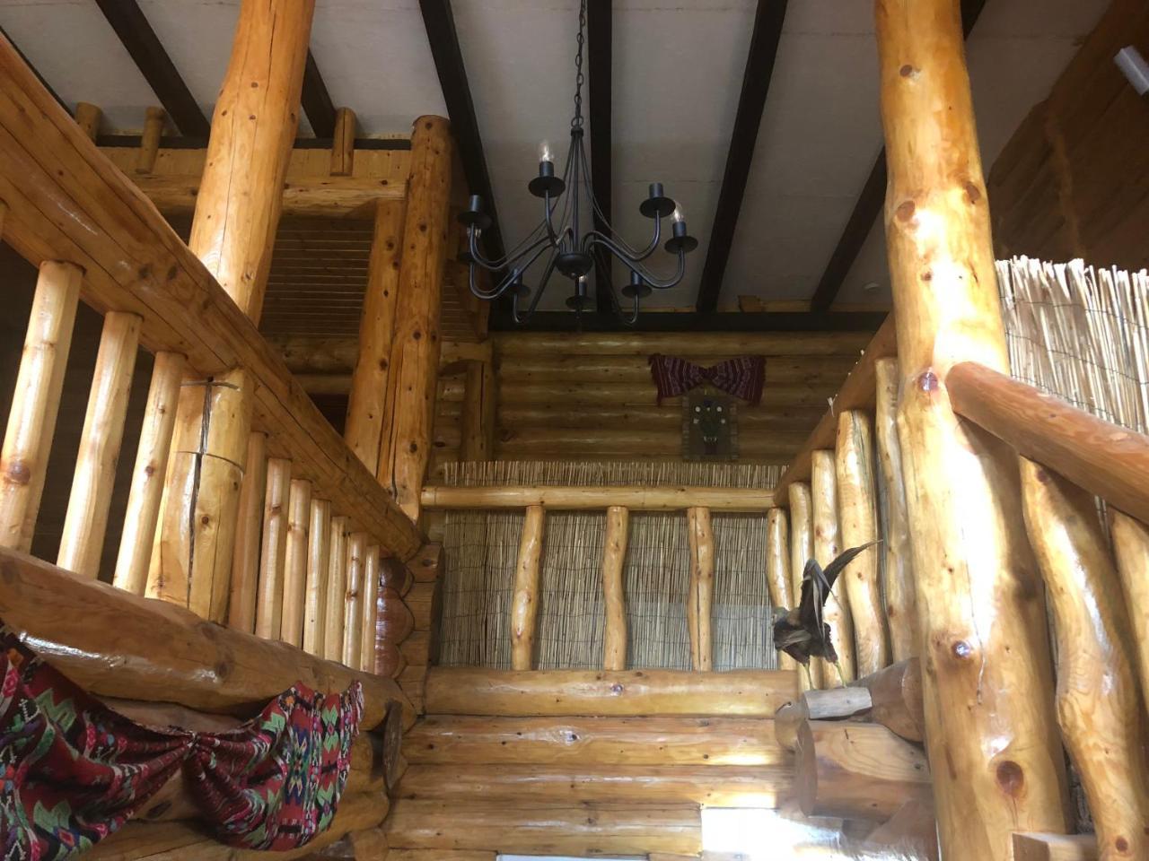 ブラショフ Hot Tub Chalet Retreatヴィラ エクステリア 写真
