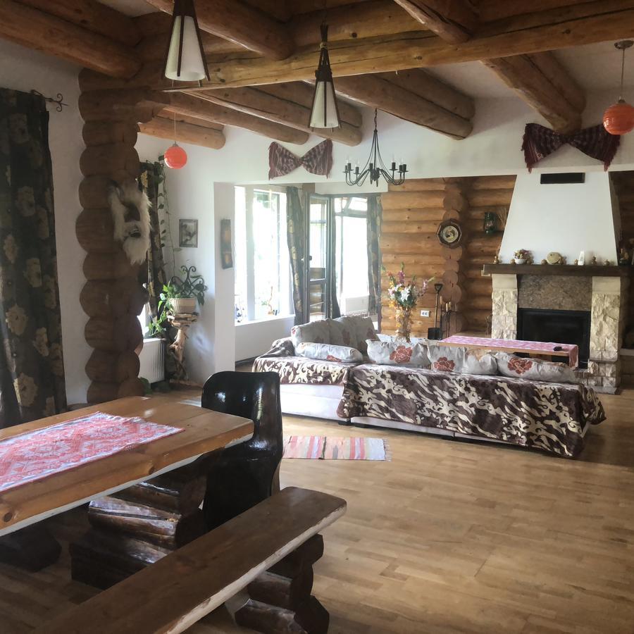 ブラショフ Hot Tub Chalet Retreatヴィラ エクステリア 写真