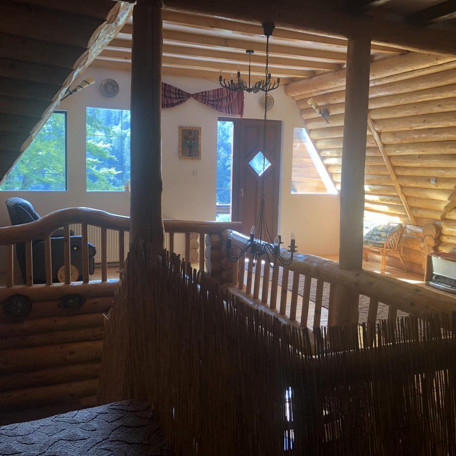 ブラショフ Hot Tub Chalet Retreatヴィラ エクステリア 写真