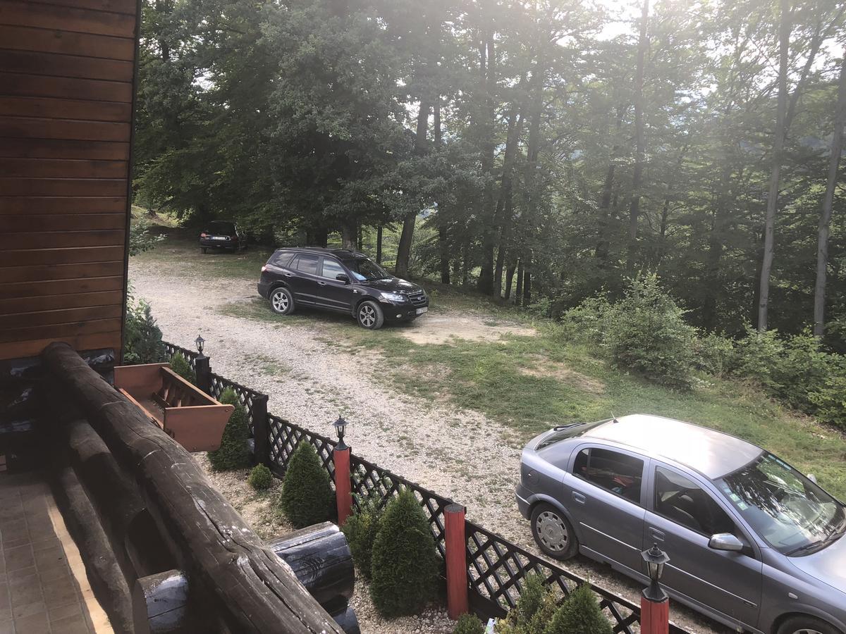 ブラショフ Hot Tub Chalet Retreatヴィラ エクステリア 写真