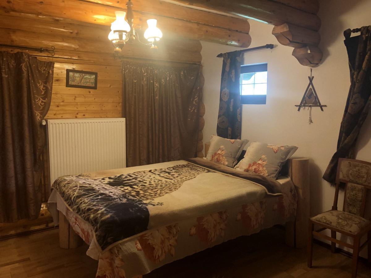 ブラショフ Hot Tub Chalet Retreatヴィラ エクステリア 写真