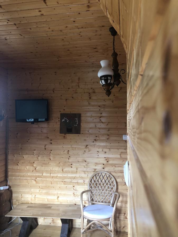 ブラショフ Hot Tub Chalet Retreatヴィラ エクステリア 写真