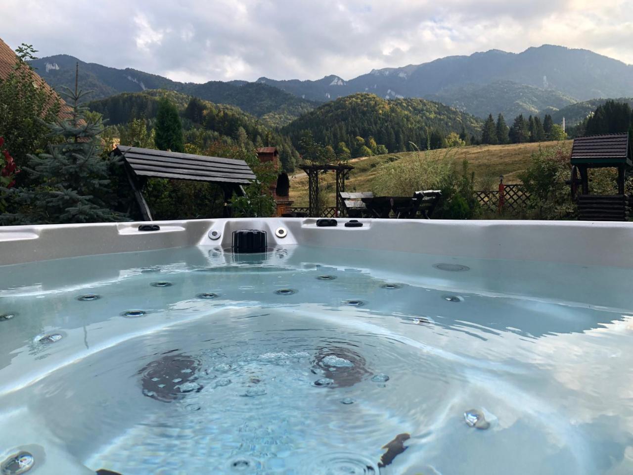 ブラショフ Hot Tub Chalet Retreatヴィラ エクステリア 写真